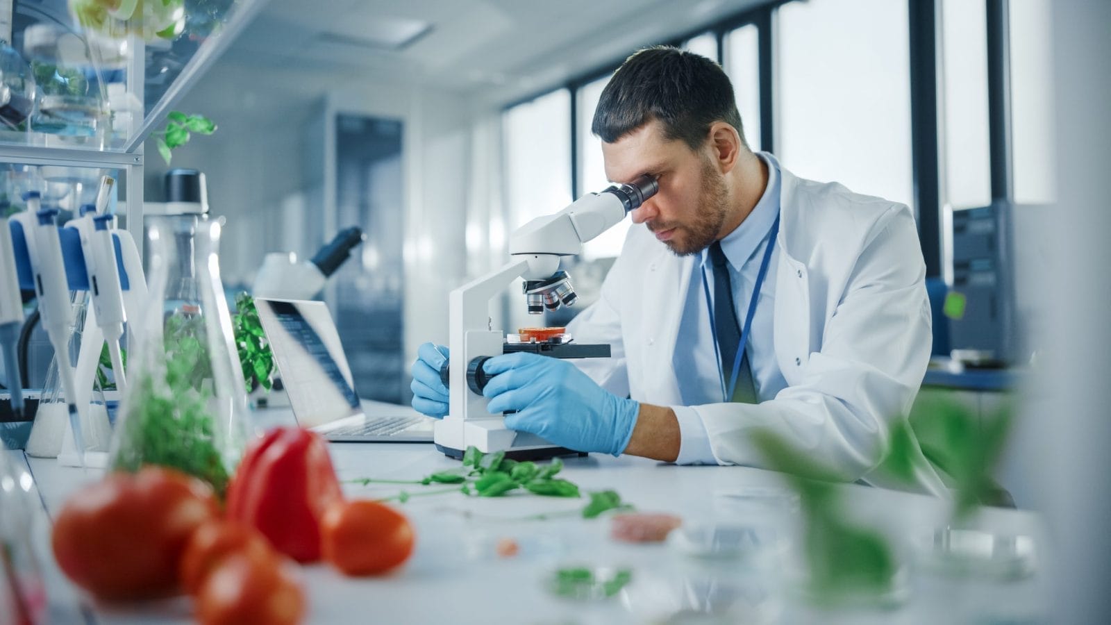 lab grown food