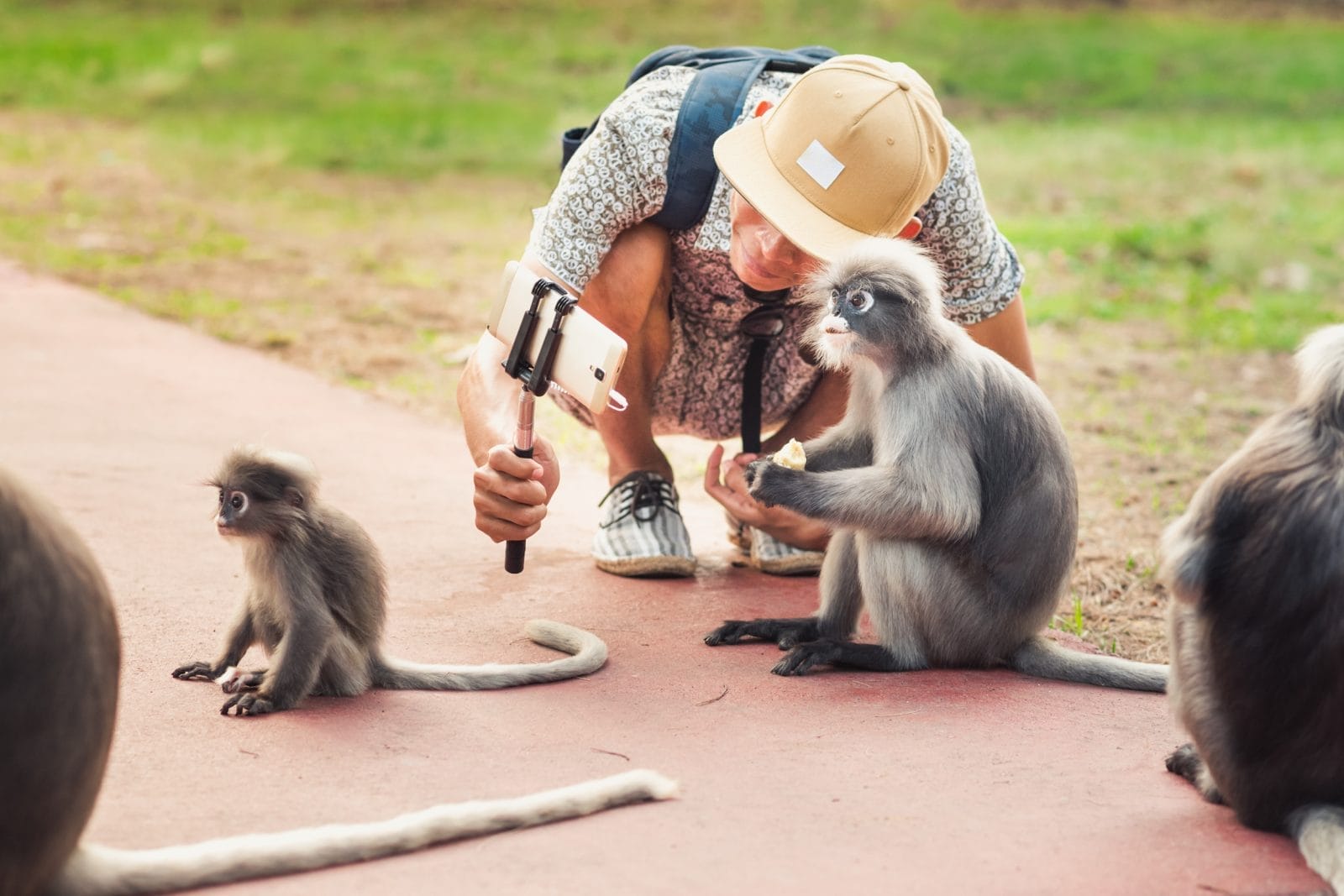 selfie with animal