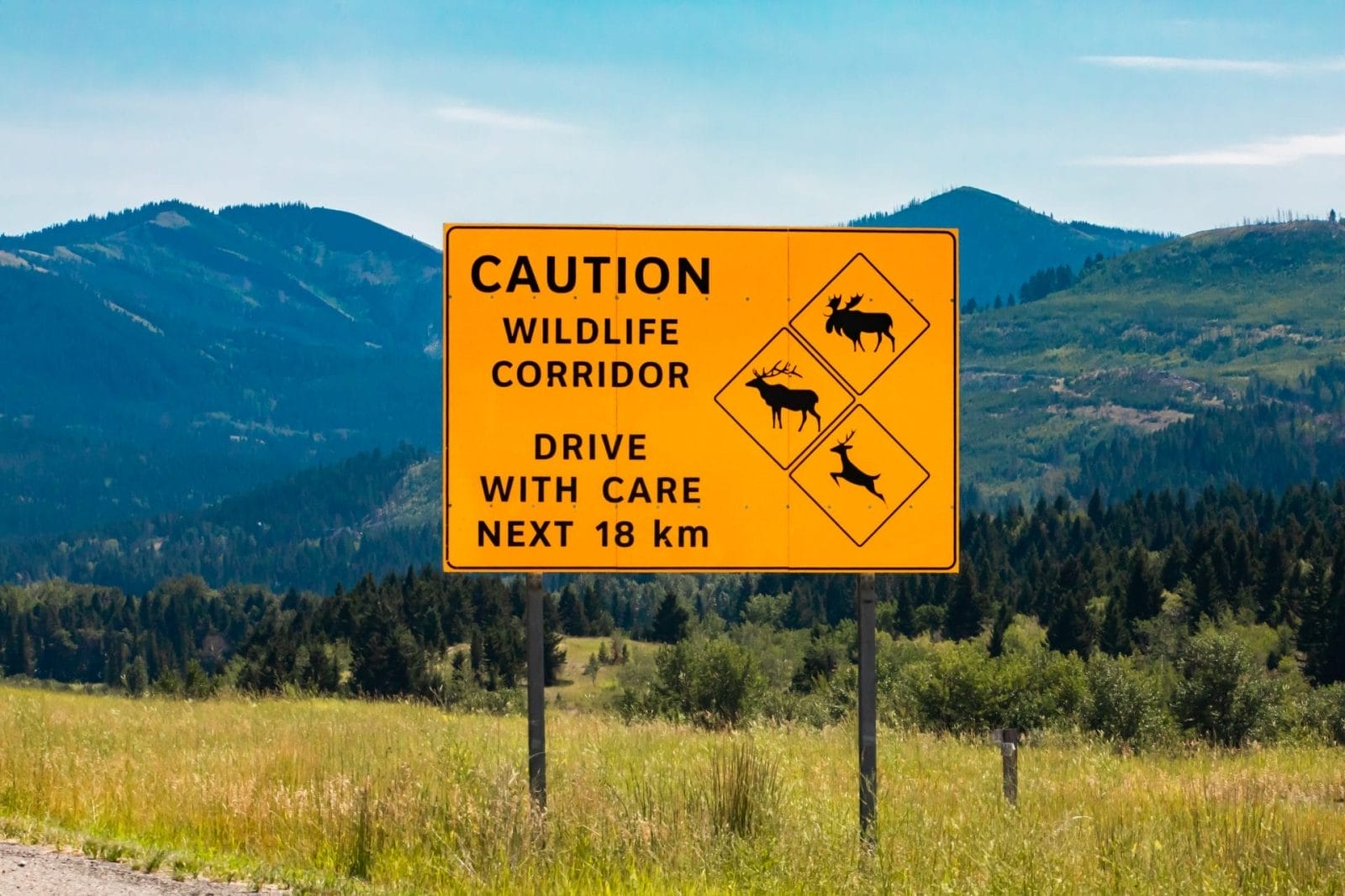 Wildlife corridor