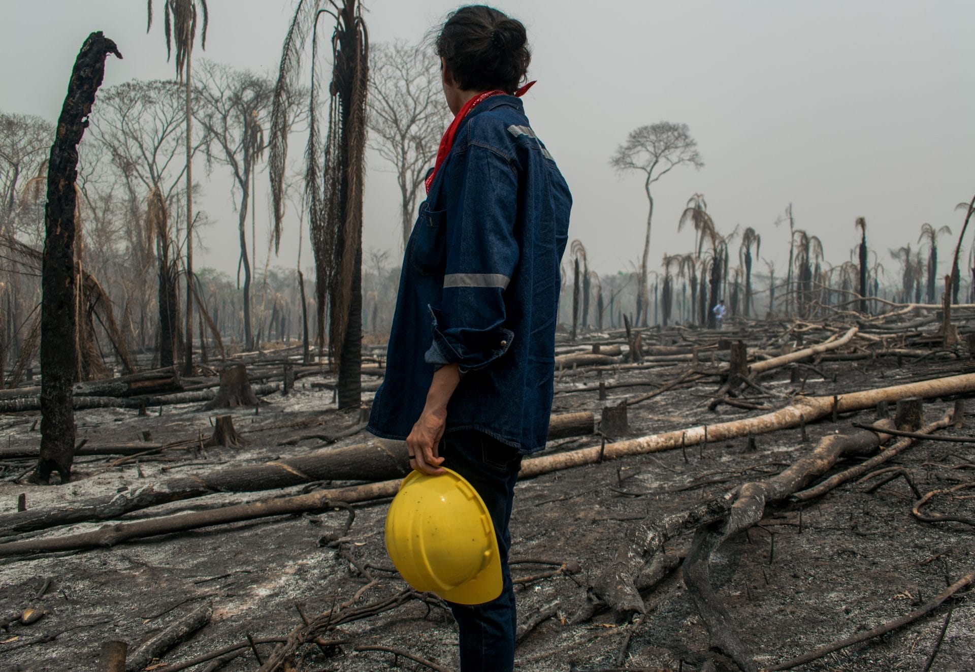 Bolivian Wildfire