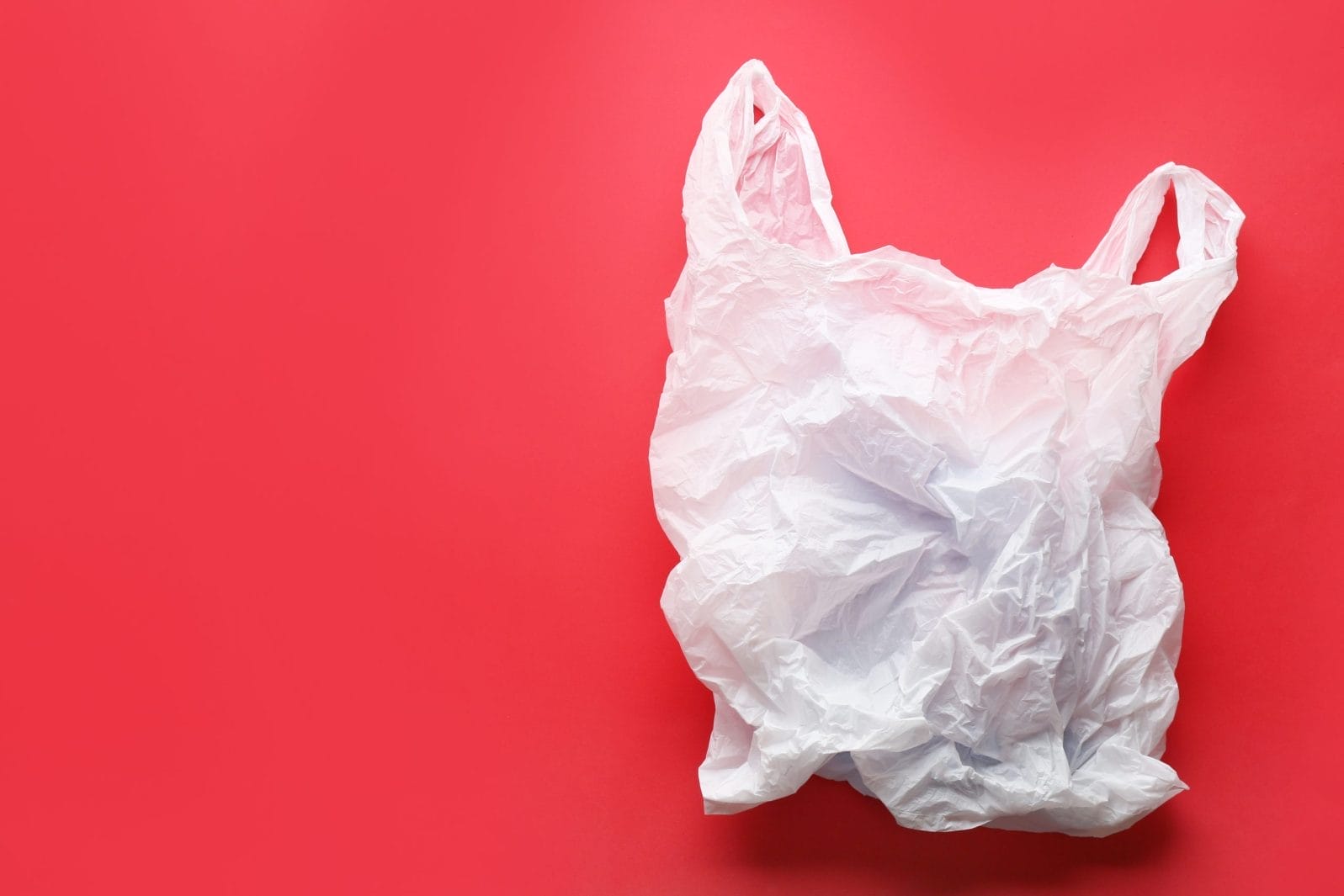 plastic bag
