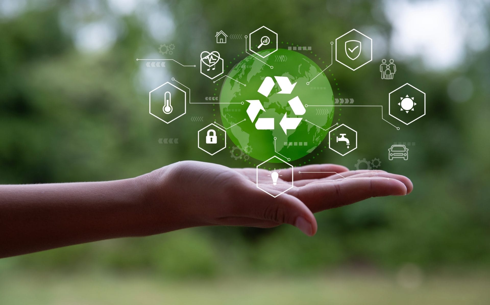Zero waste concept