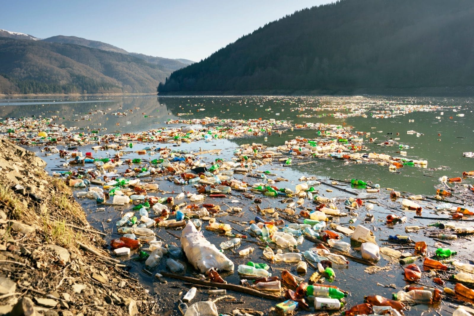 river full of dirty water