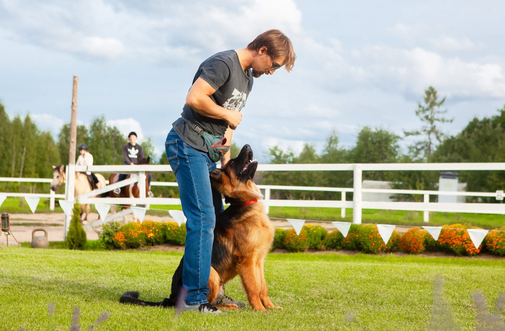 Man standing over German Shepherd