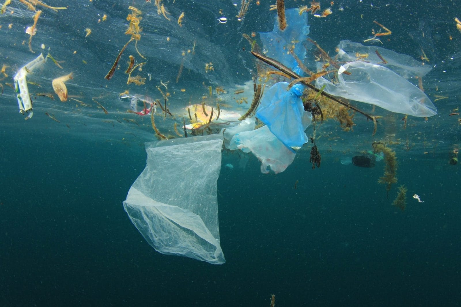 plastic in the ocean