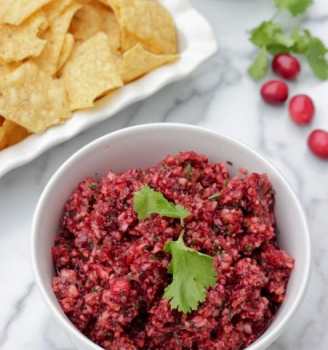 cranberry salsa