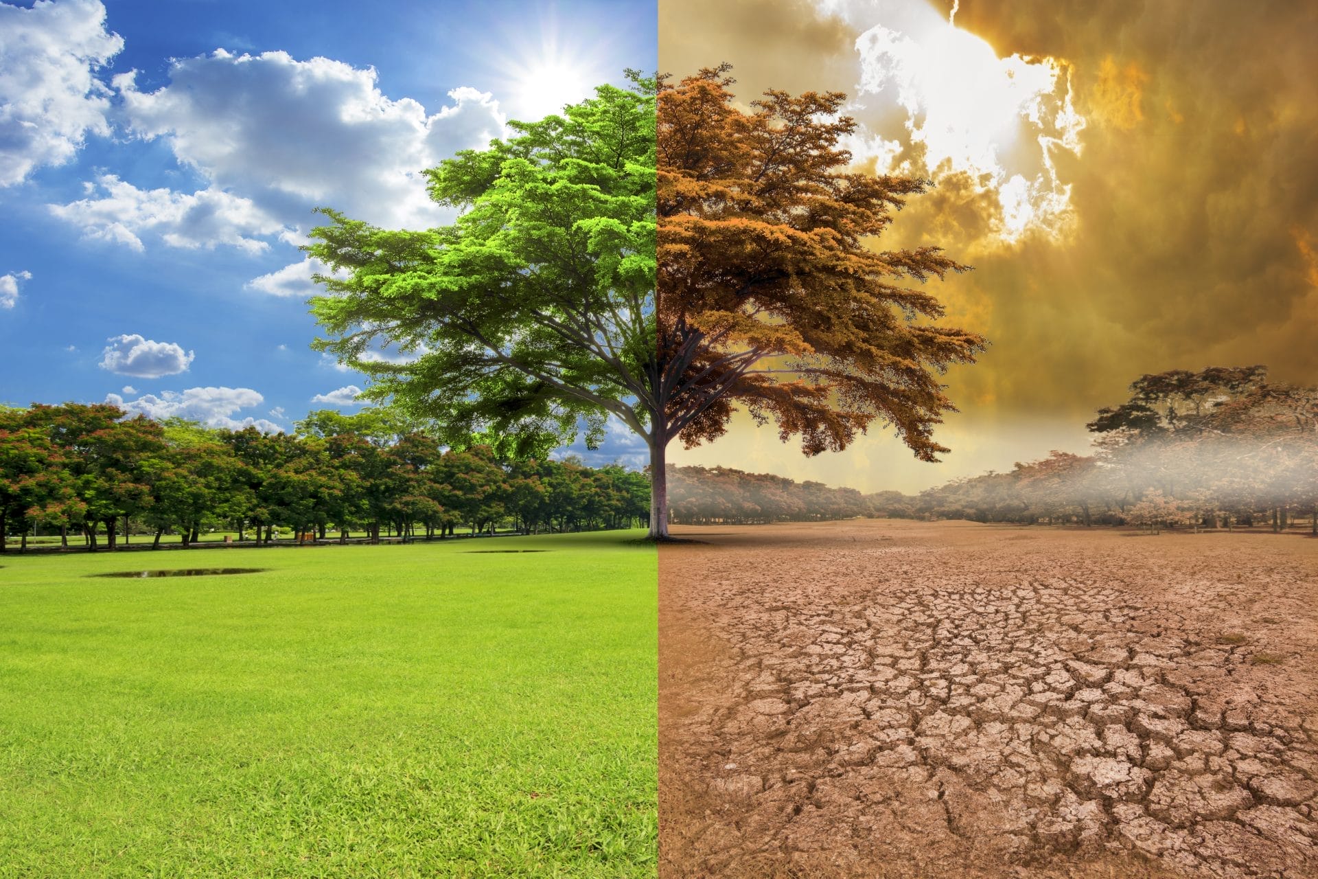 Before and after image of global warming