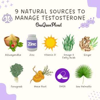 Natural sources to manage testosterone graphic