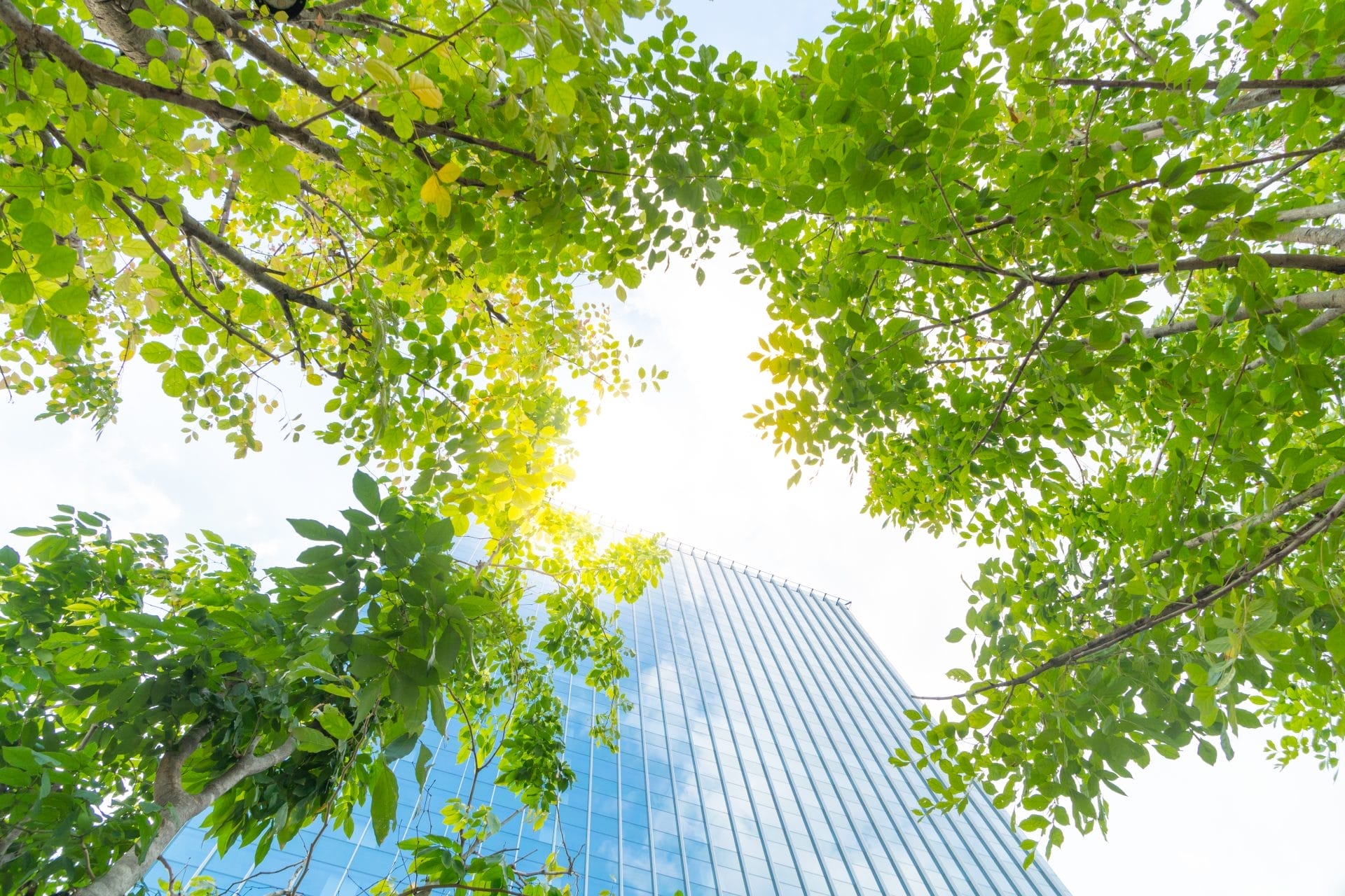 Low angle shot of a modern office building a clear skies