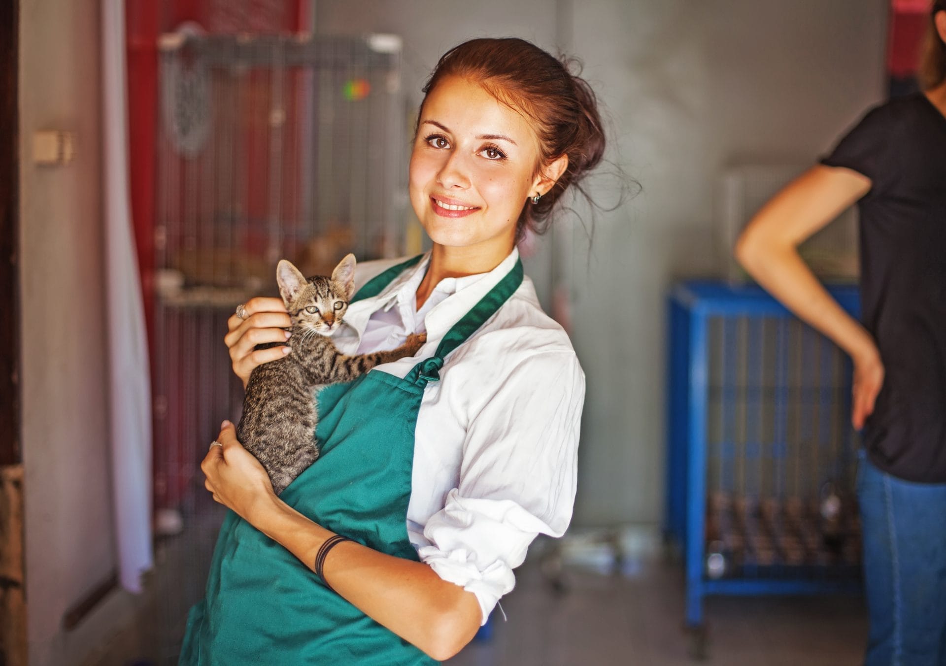 Woman in animal shelter holding kitten