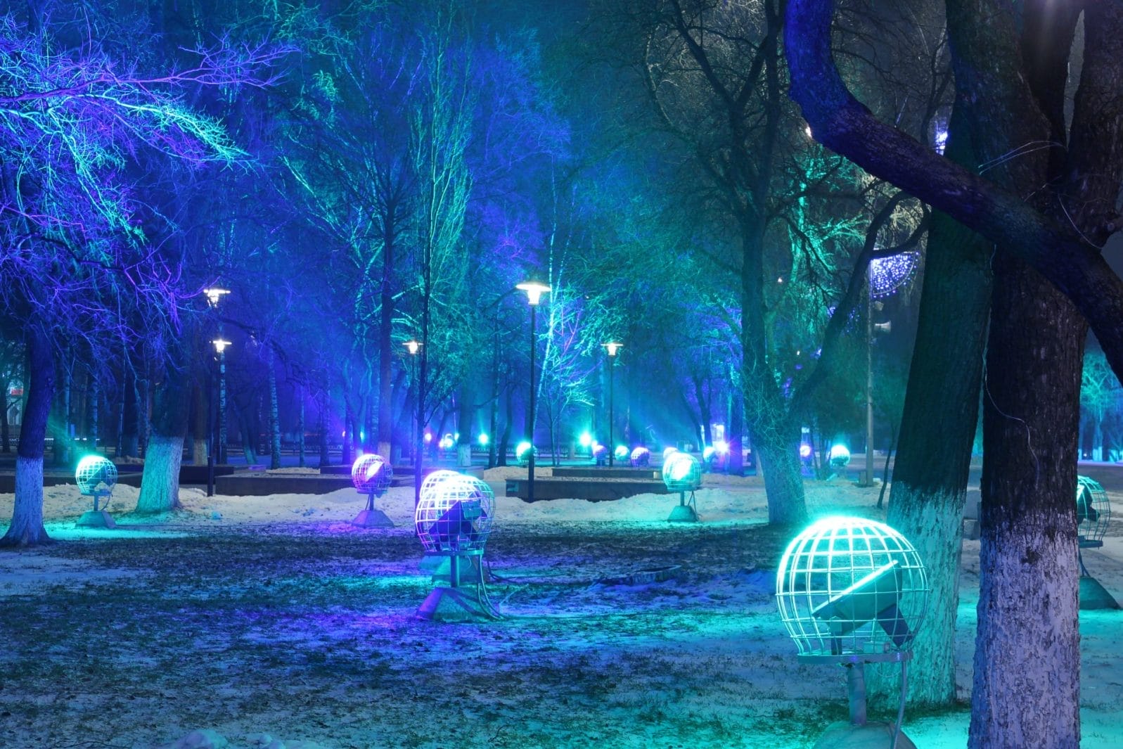 light show in woods