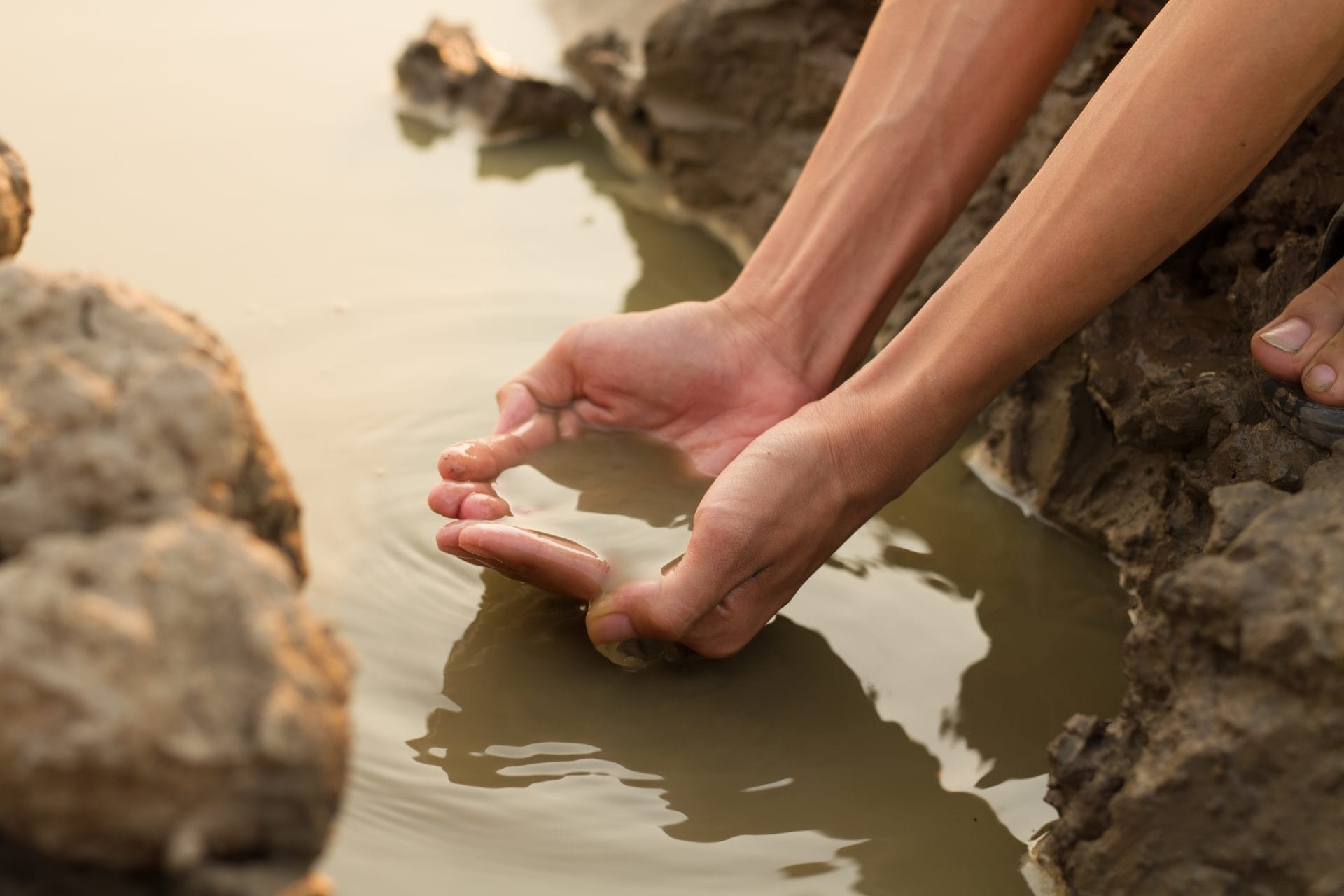 Hand taking water from dirty pond