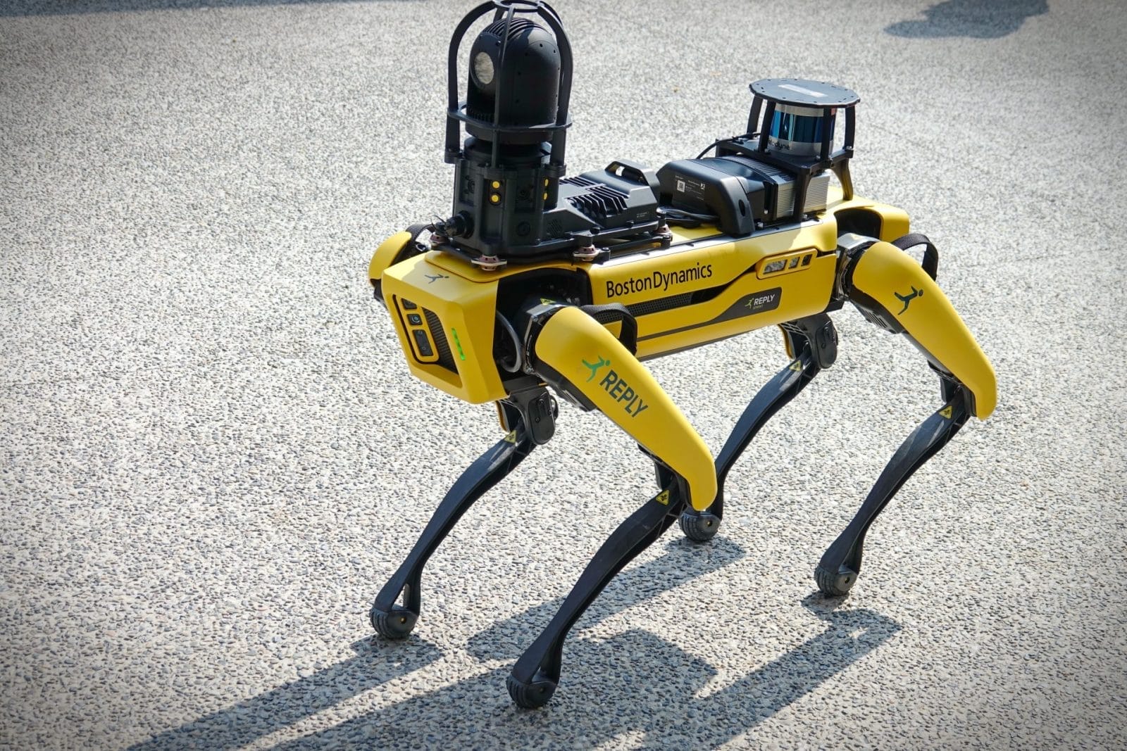 yellow robot dog