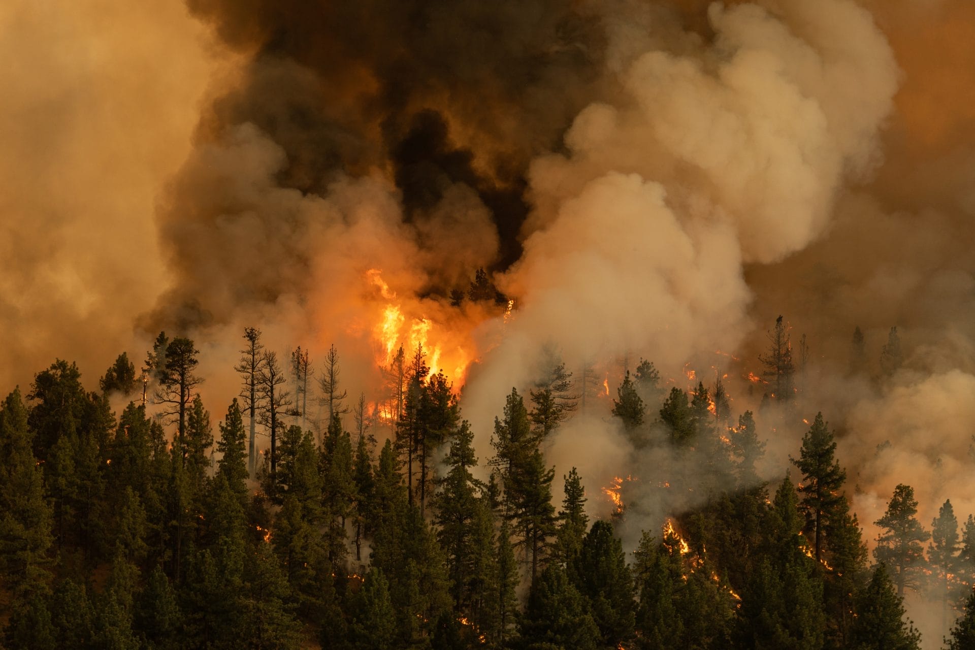 Wildfire smoke