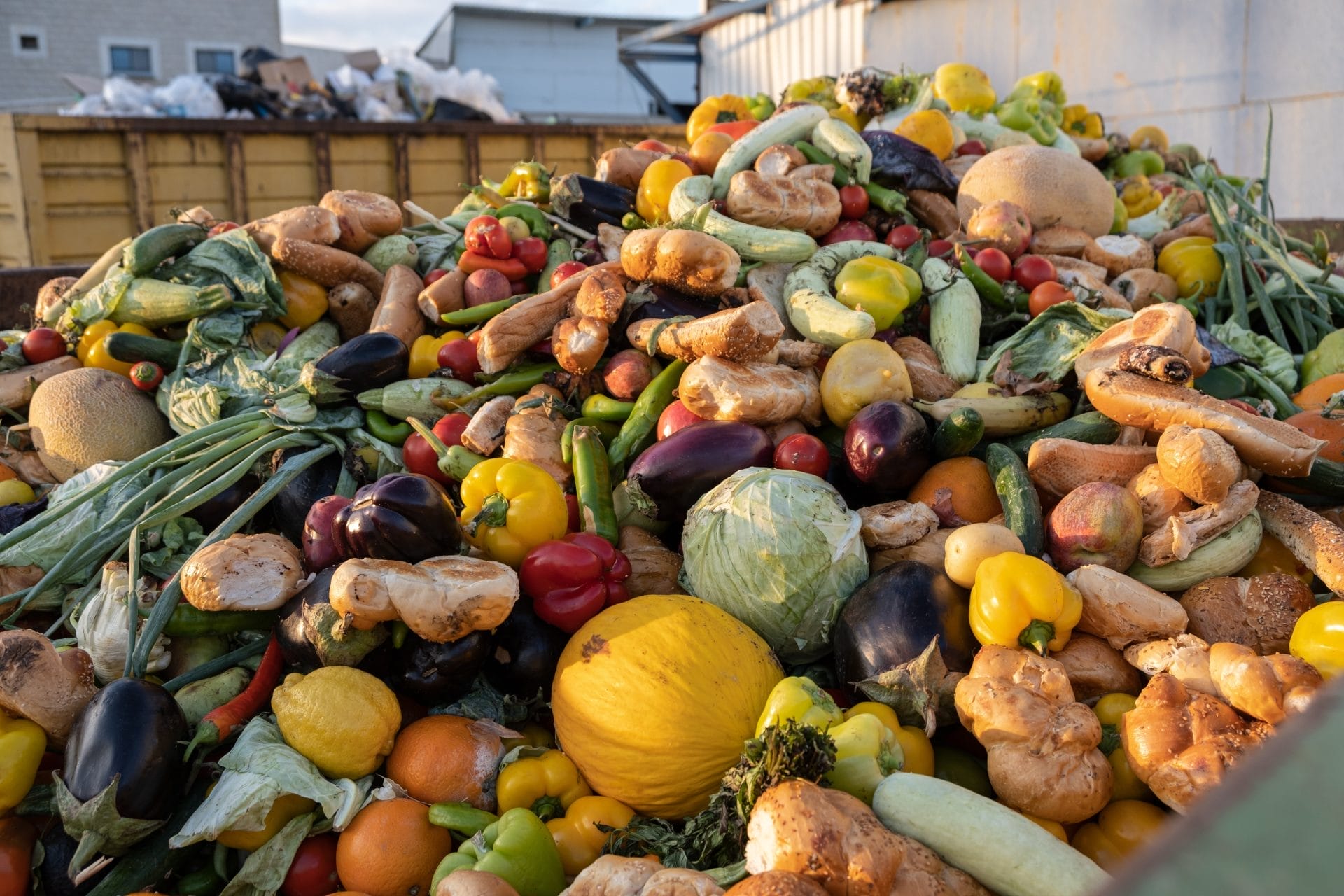 Expired vegetables compost
