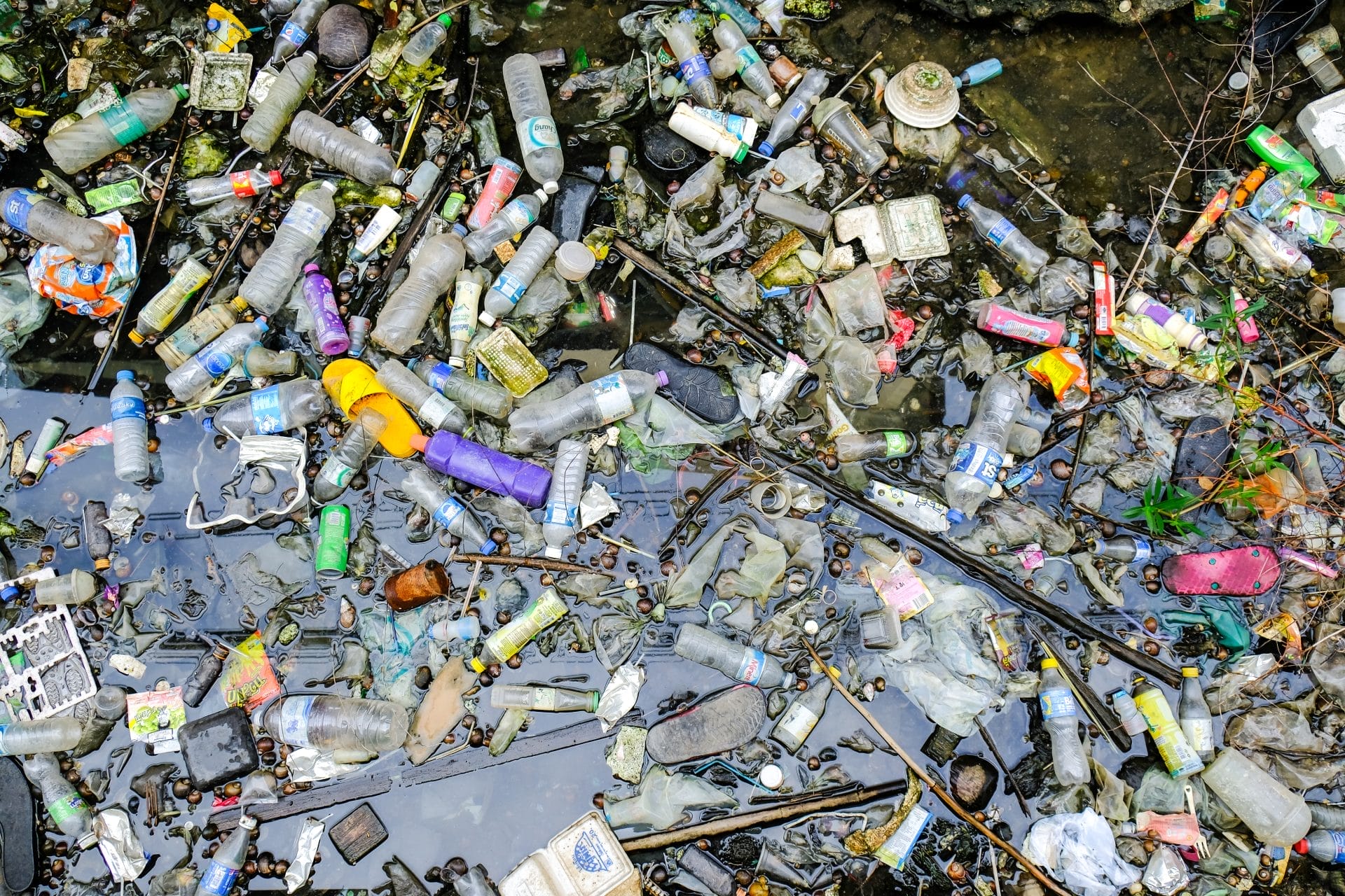 Plastic pollution