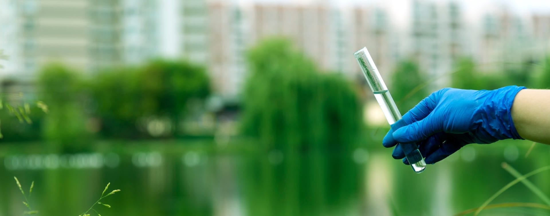 Gloved hand holding test tube filled with water