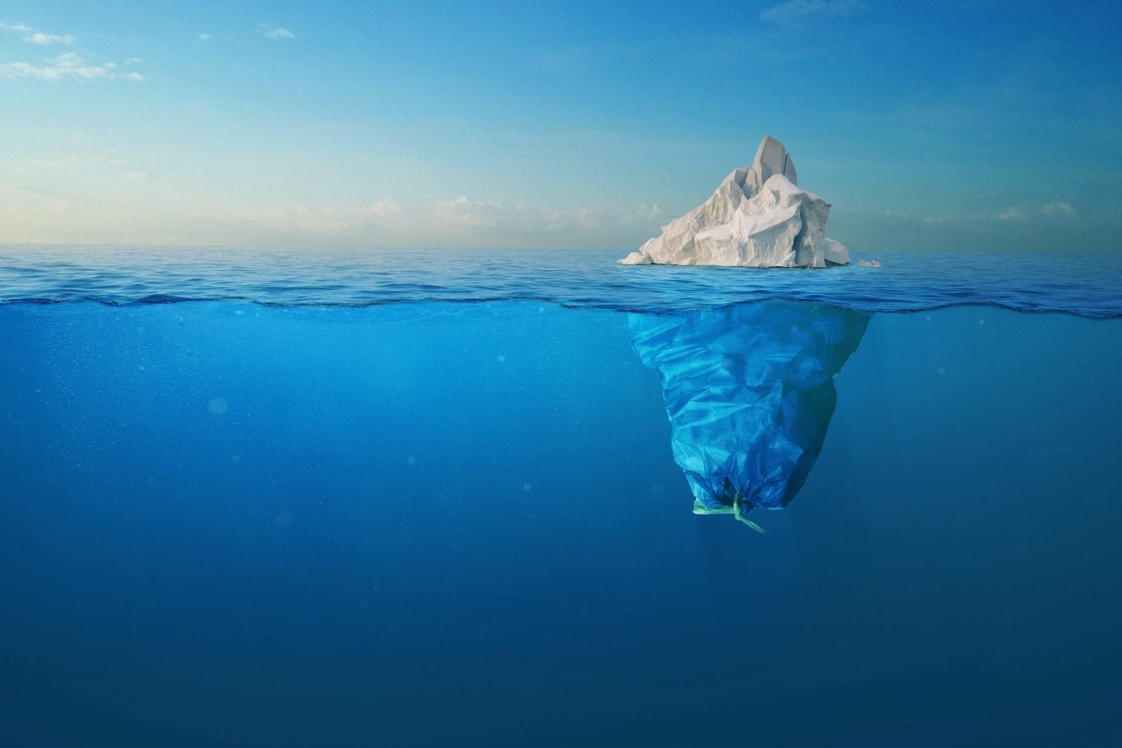 plastic and ice berg