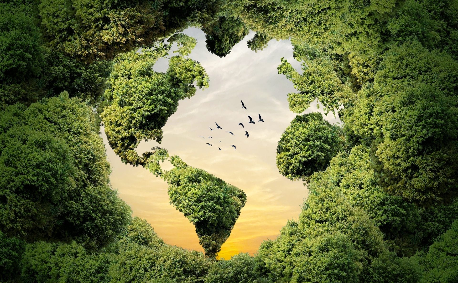 Ecological concept