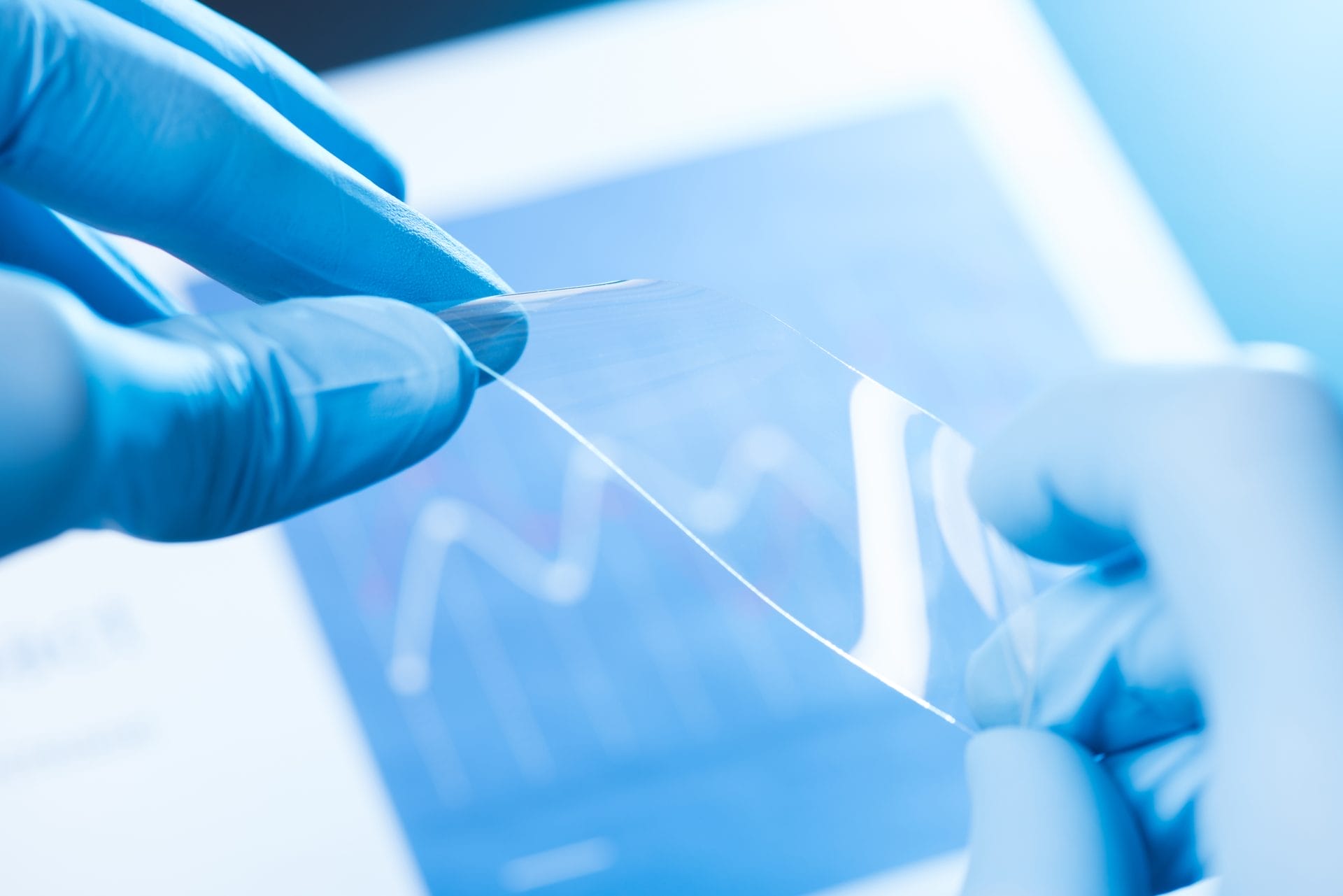 Scientist holds and bends a small piece of transparent material
