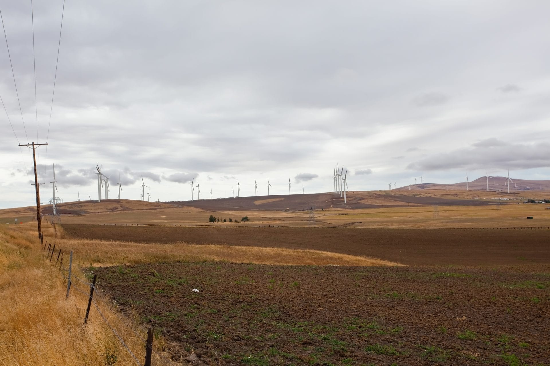 Klickitat County