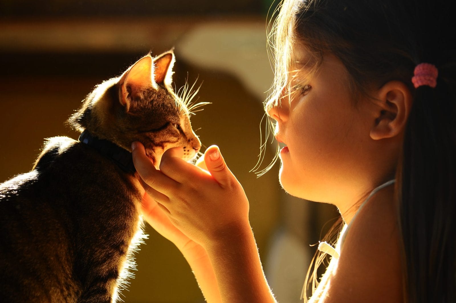 cat and kid