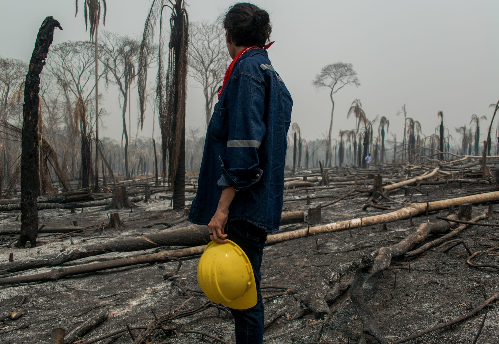 Firefighter looking over a burned forest in the Bolivian Amazon