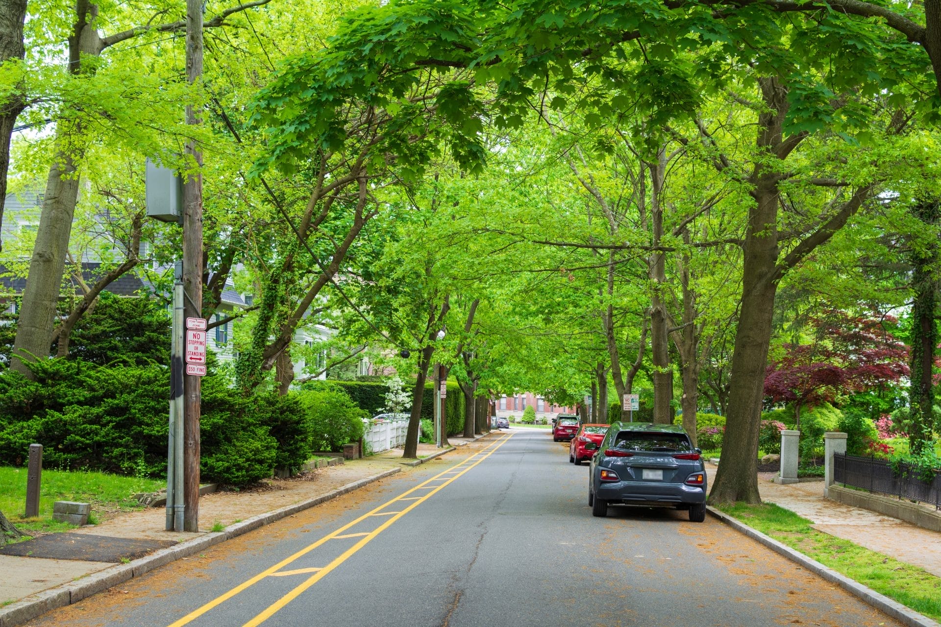 Urban residential street with trees lining the sidewalks