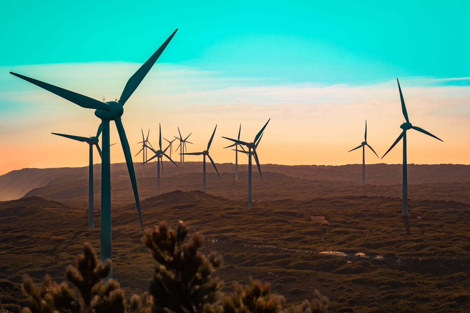 Windmill farm
