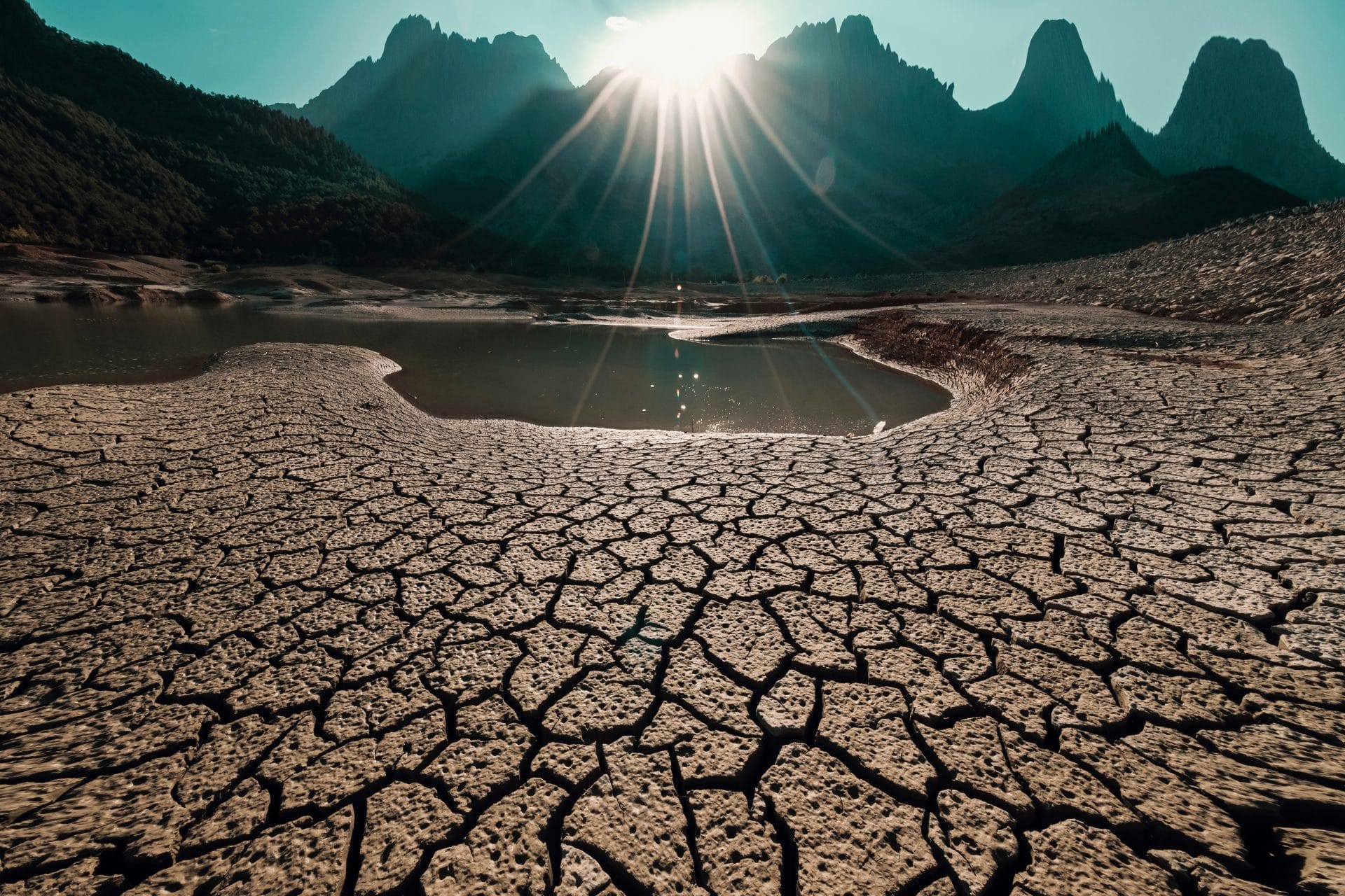 Dry and cracked land
