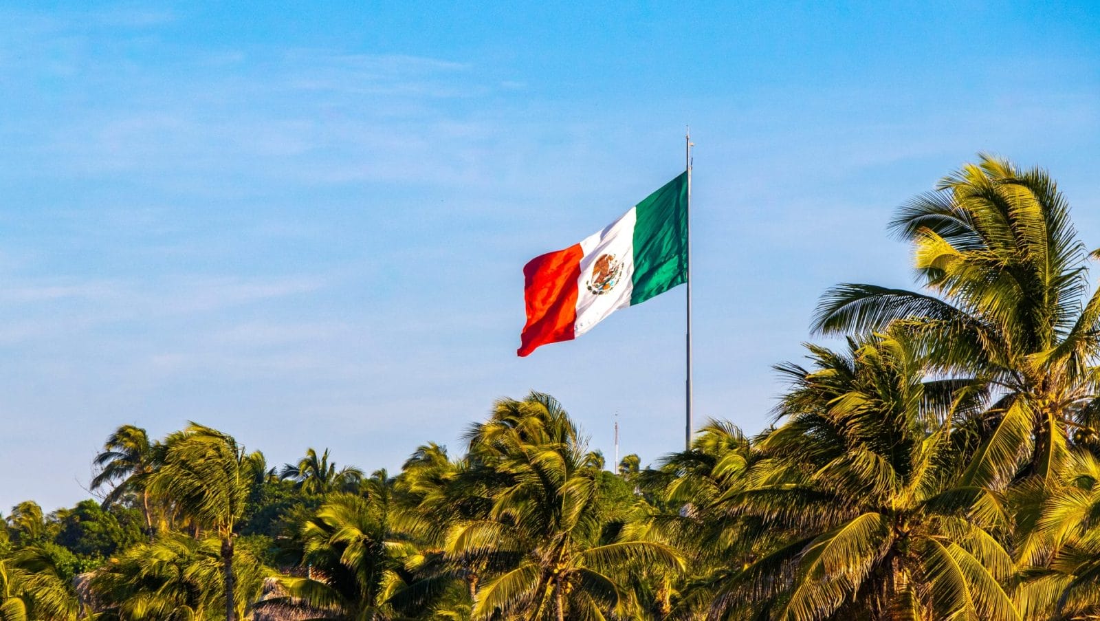 Mexican flag