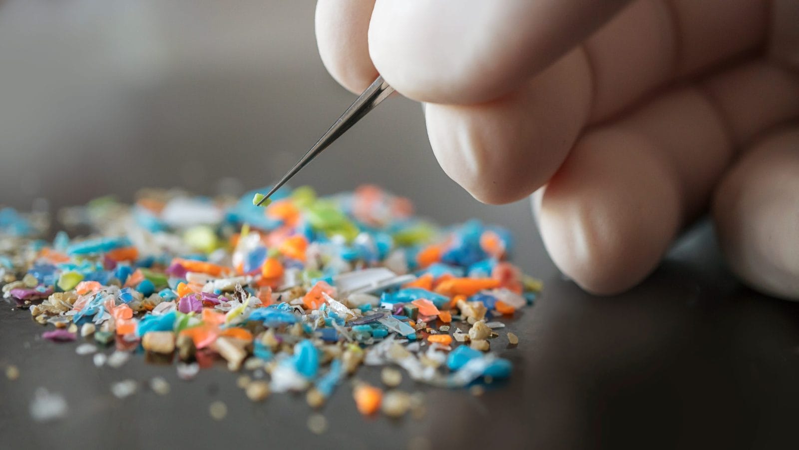 Macro shot of a person with medical gloves and tweezers inspecting a pile of micro plastics. Concept of water pollution and global warming. Macro shot of microplastics.