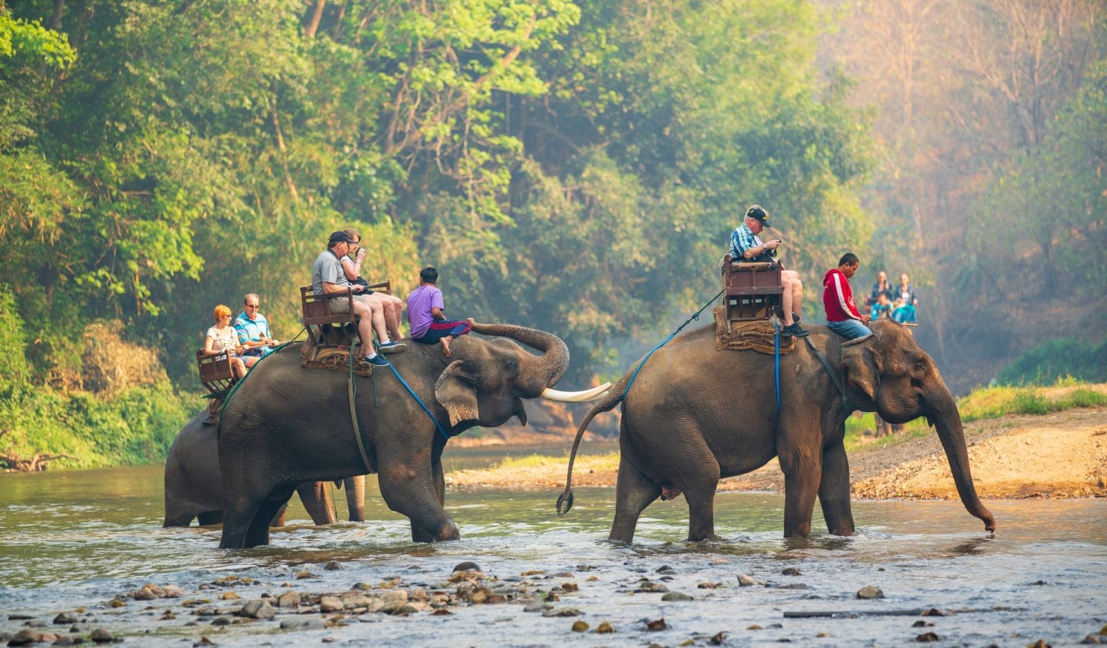 Chiang Mai Thailand January 30, 2021 Mahouts and their elephants at Chiang Dao elephant training camp