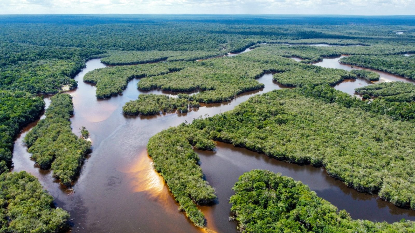Amazon Rainforest. Trees, the Rio and their colors dominate South America